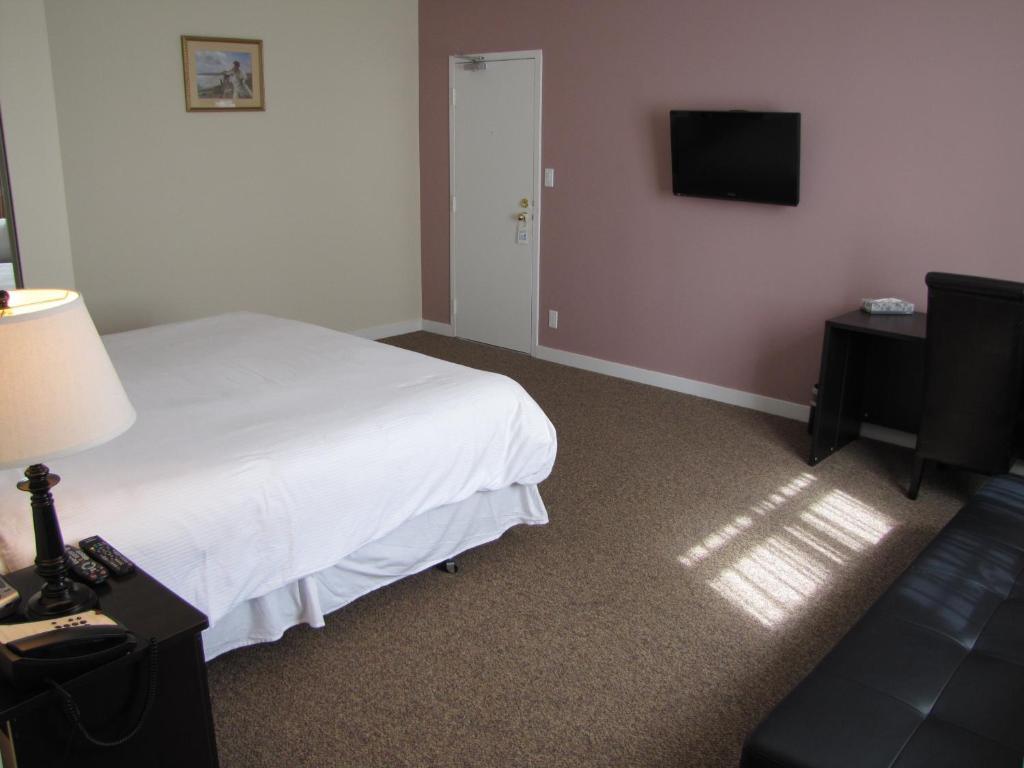 Suite 1 Chambre avec Canapé-Lit